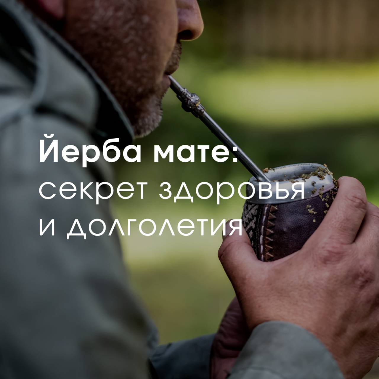 Йерба мате: секрет здоровья и долголетия