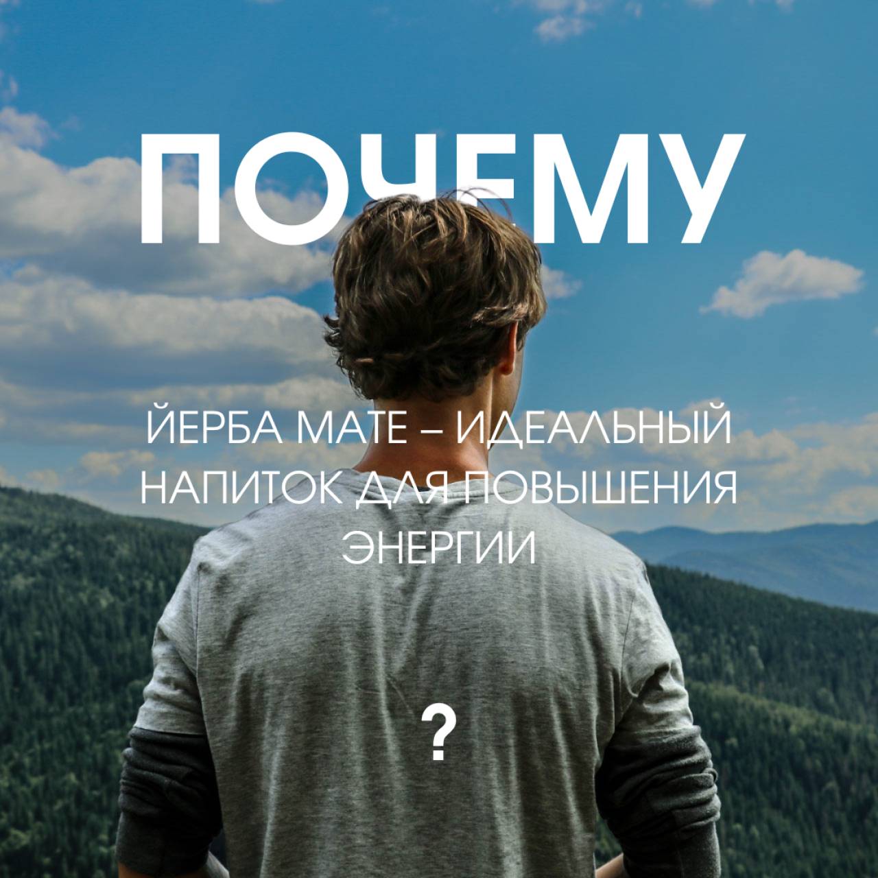 Почему Йерба мате – идеальный напиток для повышения энергии